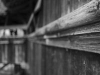 2022 01 24 thun obere schleuse