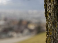 2022 02 14 schnittweierhoehe