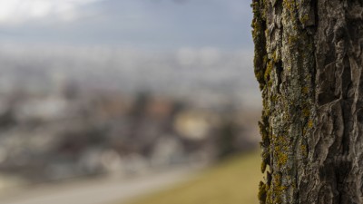 2022 02 14 schnittweierhoehe