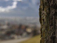 2022 14 schnittweierhoehe