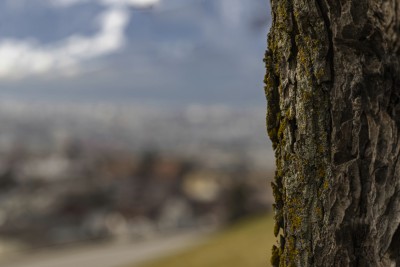 2022 14 schnittweierhoehe