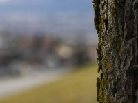 2022 02 14 schnittweierhoehe