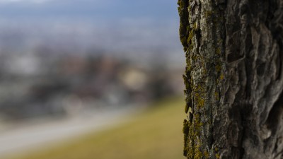 2022 02 14 schnittweierhoehe