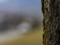 2022 02 14 schnittweierhoehe