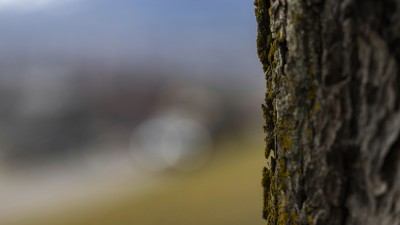 2022 02 14 schnittweierhoehe