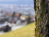 2022 02 14 schnittweierhoehe