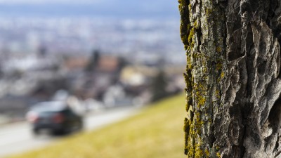 2022 02 14 schnittweierhoehe