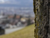 2022 02 14 schnittweierhoehe