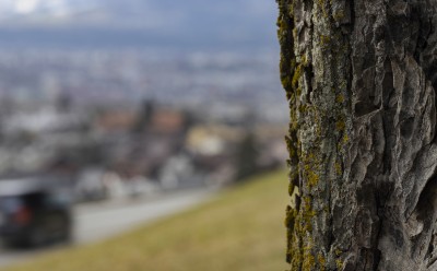 2022 02 14 schnittweierhoehe