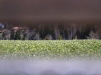 2022 02 14 schnittweierhoehe