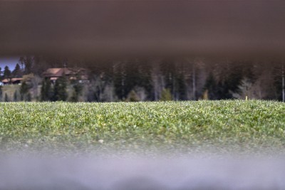 2022 02 14 schnittweierhoehe