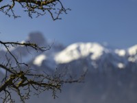 2022 02 28 boedeli hartlisberg