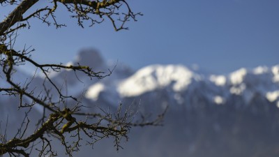 2022 02 28 boedeli hartlisberg