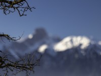 2022 28 boedeli hartlisberg