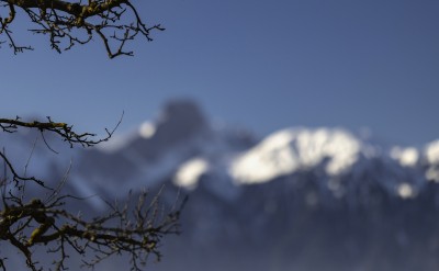 2022 28 boedeli hartlisberg