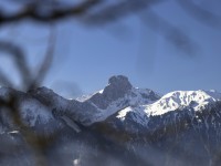 2022 02 28 boedeli hartlisberg