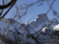 2022 02 28 boedeli hartlisberg