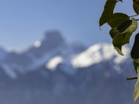 2022 02 28 boedeli hartlisberg