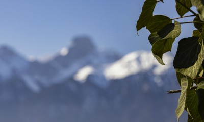 2022 02 28 boedeli hartlisberg