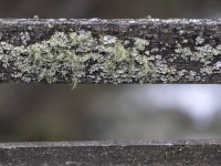 2022 04 30 blatten impressionen