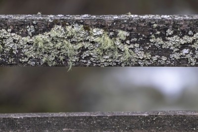 2022 04 30 blatten impressionen