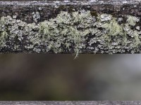 2022 04 30 blatten impressionen