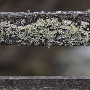 2022 04 30 blatten impressionen