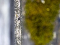 2022 04 30 blatten impressionen