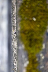 2022 04 30 blatten impressionen