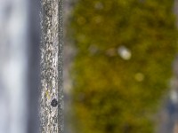 2022 30 blatten impressionen