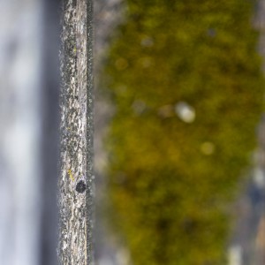 2022 30 blatten impressionen