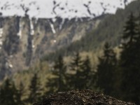 2022 05 01 blatten impressionen