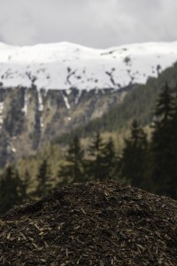 2022 05 01 blatten impressionen