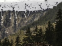 2022 05 01 blatten impressionen