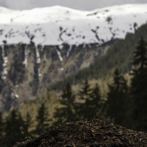 2022 05 01 blatten impressionen