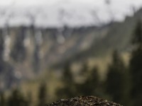 2022 01 blatten impressionen