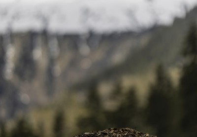 2022-05-01_Blatten_Impressionen