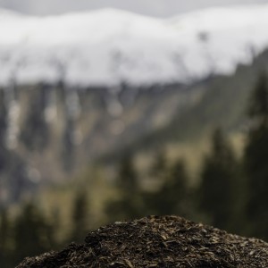 2022 01 blatten impressionen