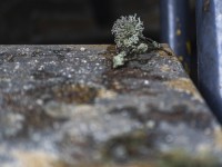 2022 05 01 blatten impressionen