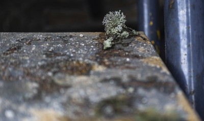 2022 05 01 blatten impressionen