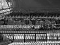 2022 10 04 thun selve  4 von 