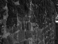 2022 10 08 bad hersfeld  19 von 