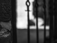 2022 10 08 bad hersfeld  27 von 