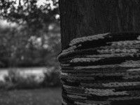 2022 10 08 bad hersfeld  37 von 