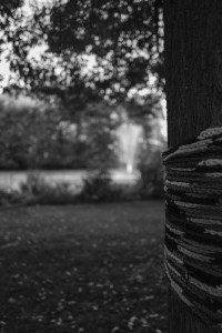 2022 10 08 bad hersfeld  38 von 