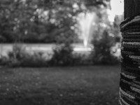 2022 10 08 bad hersfeld  39 von 