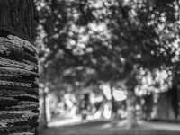 2022 10 08 bad hersfeld  40 von 