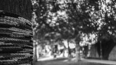 2022 10 08 bad hersfeld  40 von 