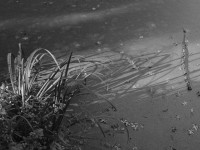 2022 10 08 bad hersfeld  41 von 