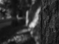 2022 10 08 bad hersfeld  43 von 